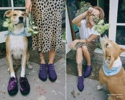 Ultra Violet 3-Buckle Pointed Creeper Boot -Urban Sole Shop A9494 LF 03