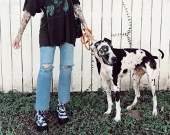 Black & White Cow Print Nosebleed Boot -Urban Sole Shop A9935L lifestyle a71ee903 96a6 4d81 833b 1bbf5a2ad3a3