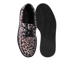Leopard Anarchic 3-Ring Creeper 8 Leopard Anarchic 3-Ring Creeper -Urban Sole Shop T2286 BOTH TOP 05a3aeed b7ac 46ef a5ca 1a5cc15c1774