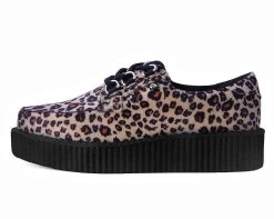 Leopard Anarchic 3-Ring Creeper 9 Leopard Anarchic 3-Ring Creeper -Urban Sole Shop T2286 LEFT PROFILE 14189610 c16a 40d9 a4ab 8f00083a534a