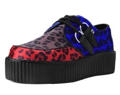 Tri-color Leopard Viva Mondo Creeper