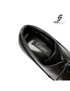 Giaro Giaro Platform Lace Up Pumps SNUG In Black With Red Lining -Urban Sole Shop giaro giaro platform lace up pumps snug in black w 3